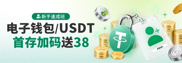 新手电子钱包38-赏金女王